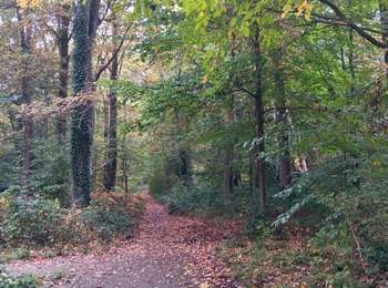 Trail Walking Liège - petit tour au sart-tilman - Photo