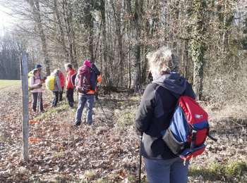 Trail Walking Coulours - Couleurs rando jc - Photo
