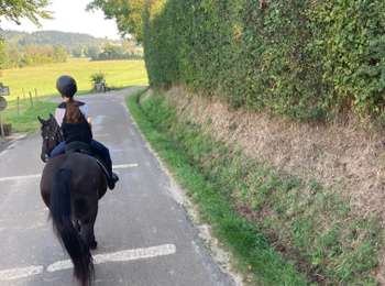 Trail Horseback riding La Tour-du-Meix - Vouglan camping surchauffant mardi 12 - Photo