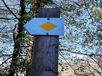 Tocht Stappen Amay - Promenade d’Ombret   - Photo