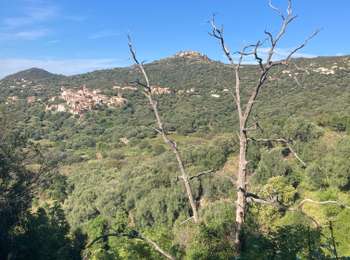 Tocht Stappen Lavatoggio - Lavatoggio  - Photo