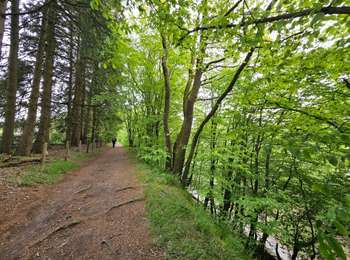 Trail Walking Stavelot - La Croix des Fiancés  - Photo