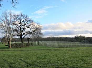 Percorso Bici da strada Aubel - Tour des vignes de la coopérative Vin du Pays de Herve - Photo