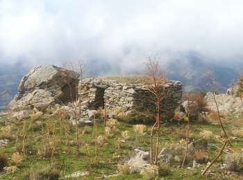 Trail Walking Pietralba - Boucle des bergeries - Photo