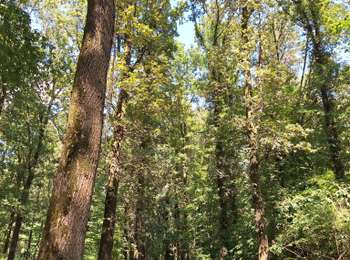 Tour Wandern Kelmis - Lontzen - Photo