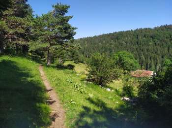Trail Walking Septmoncel les Molunes - Sentier des Diots - Photo