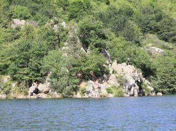 Percorso A piedi Charbonnières-les-Vieilles - Le Gour de Tazenat - Photo