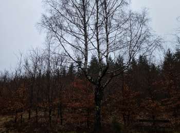 Percorso Marcia Amel - j2 anvers panne GSM - Photo