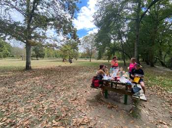 Trail Canoe - kayak Villandraut - Descente du coton - Photo