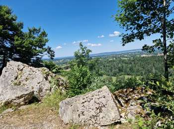 Trail Walking Cerniébaud - rando par DO et PAT - Photo