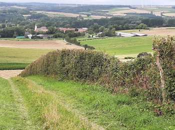 Trail Walking Reclinghem - Les hauts de RECLINGHEM  - Photo