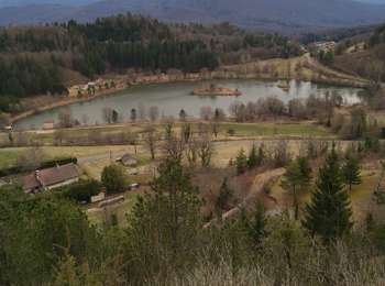 Trail Walking Martigna - Martigna  - Photo