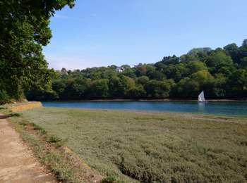 Tour Wandern Lannion - Lannion - GR34 Chemin de Halage Servel - 8.6km 155m 2h20 - 2023 09 10 - Photo