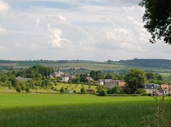 Randonnée Marche Gulpen-Wittem - Wahlwiller_077 - Photo