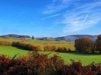 Tour Wandern Bièvre - Balade au fil du ruisseau de Gros-Fays - Photo