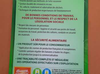 Trail Walking Le Lorrain - Rando Bananeraie La Rougerie - Photo