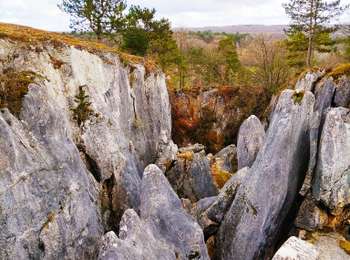 Trail Walking Viroinval - Promenade vers le Fondry des chiens  - Photo