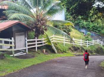 Trail Walking Sainte-Luce - Boucle Ilot Bleu - Photo