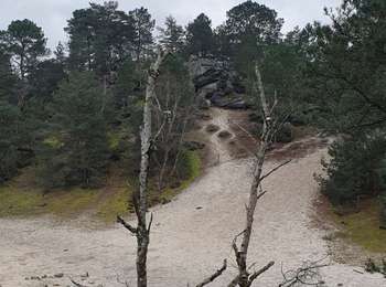 Tour Wandern Poligny - poligny rpn 2024 - Photo
