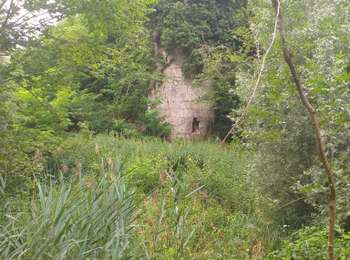 Trail Walking Thervay - Thervay  - Photo