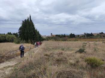 Tour Wandern Laure-Minervois - laure Minervois capitelles  - Photo