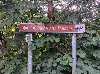 Trail Walking Neupré - contreforts de la boucle de l’ourthe - Photo