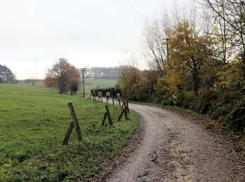 Tocht Stappen Tubeke - Oisquercq - Stéhou - Coeurq - Photo