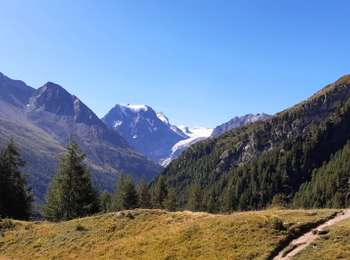 Tocht Stappen Evolène - La Haute Route : J5 - Photo