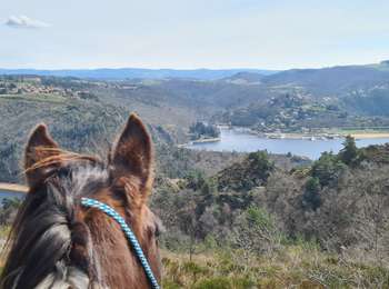 Trail Horseback riding Saint-Marcellin-en-Forez - rando chateau d'essalois - Photo
