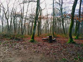 Trail Walking Moissey - circuit grottes de l'Ermitage - Photo