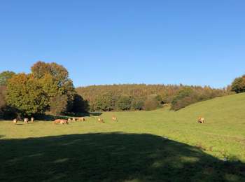 Trail Walking Wanze - Antheit - Vinalmont - Photo