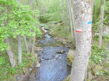 Percorso Marcia Olloix - Tracé_25-MAI-19 113424 - Photo