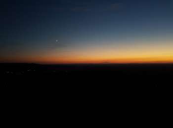 Trail Walking Pannessières - Bois de Rosnay Taïga - Photo