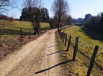 Trail Walking Bütgenbach - Promenade le long de la Warche   - Photo