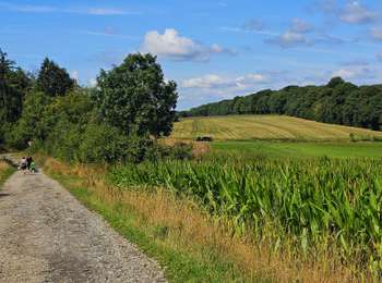 Trail Walking Froidchapelle - Balade au Lac de l'Eau d'Heure - Photo
