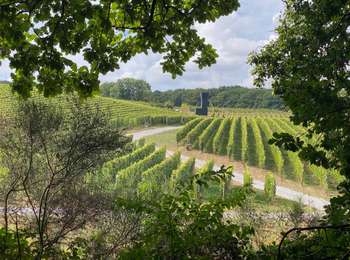 Tocht Stappen Court-Saint-Étienne - GR121/126 et GRP 127: De la Roche à Blanmont - Photo