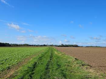 Tour Wandern Fernelmont - A la découverte de Fernelmont 🥾 - Photo