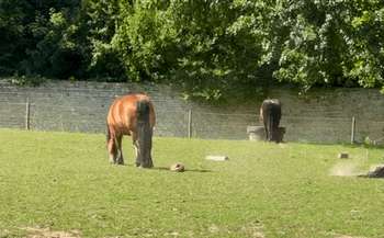 Tocht Stappen Oudergem - Rouge-Cloître & Jardin Massart - Photo