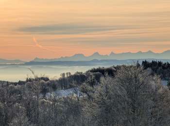 Trail Walking Plancher-les-Mines - 2025-01-04 Rando Polaire Dolleren Ballon Alsace Etape 3 - Photo