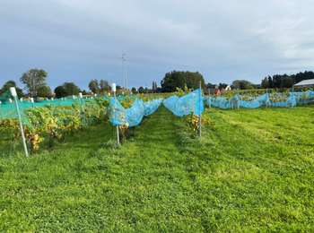 Randonnée Marche Asse - Asse Kravaalbos 6,1 km - Photo