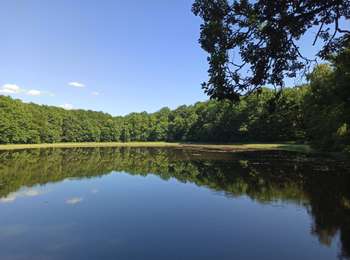 Trail Walking Fougerolles-Saint-Valbert - 28-06-25 : marche fête des cerises - Photo