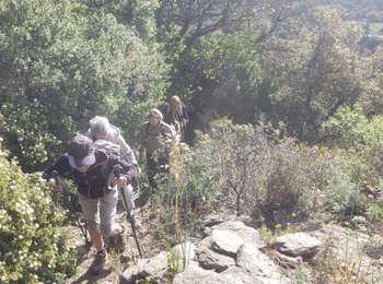 Randonnée Marche La Garde-Freinet - Fort Freinet et les roches blanches - Photo
