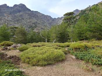 Trail Walking Lozzi - Lozzi. au refuge bergerie de ballone - Photo