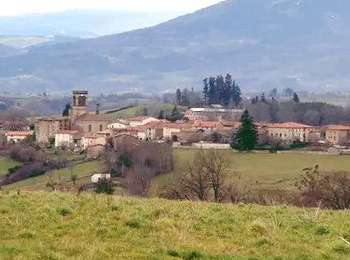Percorso Marcia Tours-sur-Meymont - Tours_Meymont_Ble_Noir - Photo