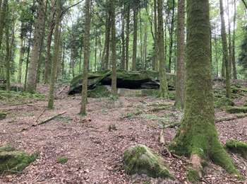 Trail Walking Fougerolles-Saint-Valbert - Fougerolles  - Photo