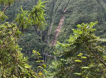 Excursión Pesca Saint-Benoît - Takamaka - Photo