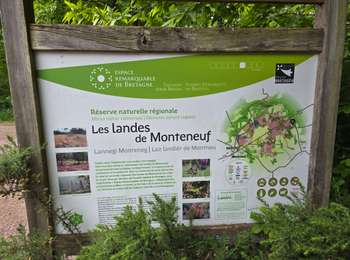Tour Wandern Monteneuf - Monteneuf - Circuit des mégalithes  - Photo
