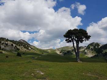 Tocht Stappen Saint-Michel-les-Portes - Les Carrières Romaines par le Pas de La Selle et le Pas des Bachassons - Photo