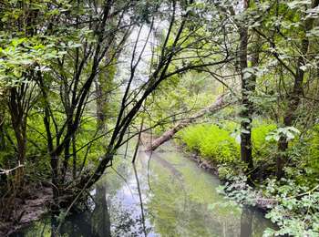 Trail Walking Waremme - La promenade du Wachnet à Waremme - Photo