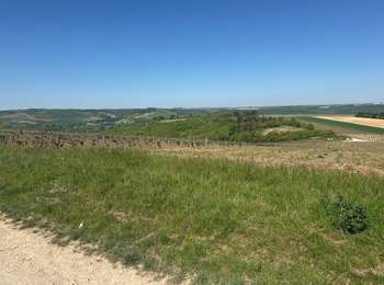 Trail Mountain bike Auxerre - Fait 29/04/25 Auxerre - Photo